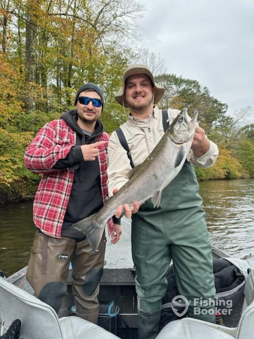 Altmar Report Photo 0