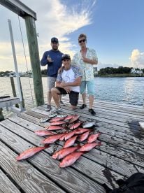 Vermillion are chomping