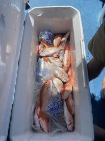 West End Report Photo 1