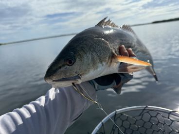 Hot Water, Solid Catches