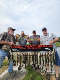 Walleye, Perch, great weather, oh my!