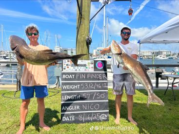 Seaford Report Photo 2