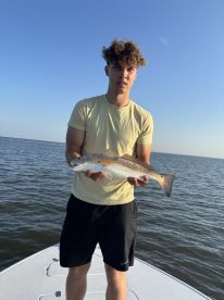 Two brothers from Poland