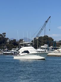 WIDE open Bass Bite- non stop action