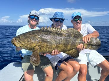 Naples Report Photo 1