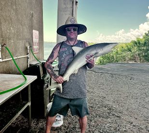 Shark trips are on ?