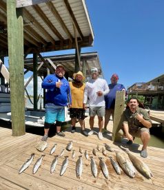 Matagorda Report Photo 2