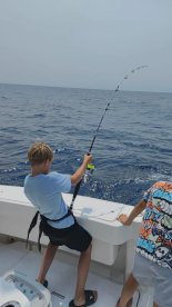 Tavira Report Photo 2