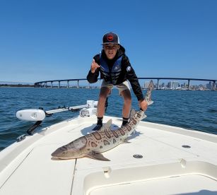 Great Summer Fishing on San Diego Bay!
