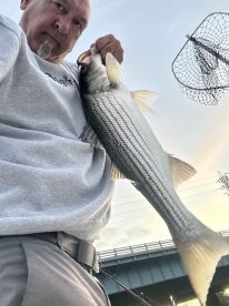 Brick Township Report Photo 2