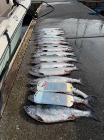 Pinks and coho season! 