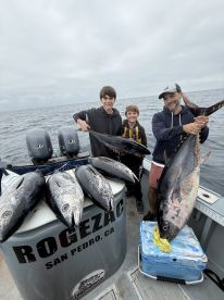 Great tuna fishing going on right now 