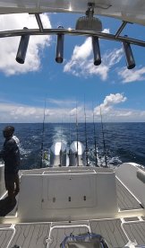 Trolling for Tuna is also an option