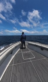 In search of tuna schools 