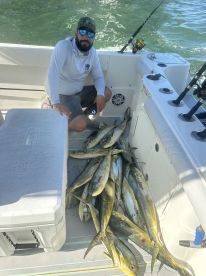 Mahis are runnig thick