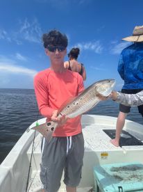 Cedar Key Report Photo 2