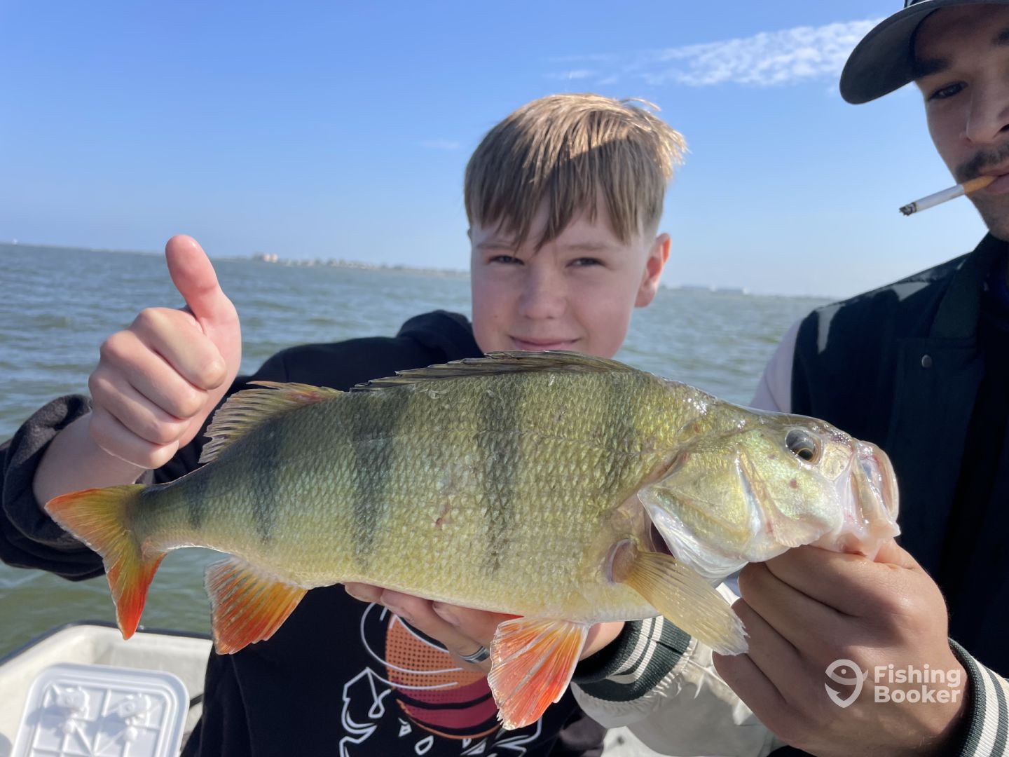 Offingawier Report Photo 0