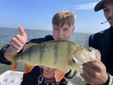 Big perch fishing in holland