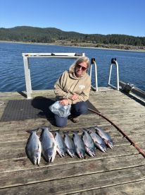 Relaxing Summer Salmon Fishing 
