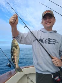 Catalina Run 10 hr  THE 3 Bs