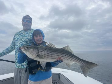 Striped bass 