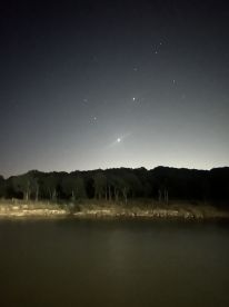 Great Crappie and White bass and a few s