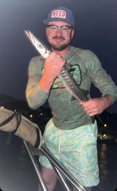 Barracuda early morning