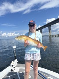 BULLS,BULLS, and more BULLS!!