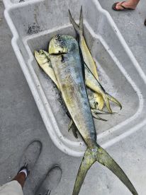 Mahi action is hot!!