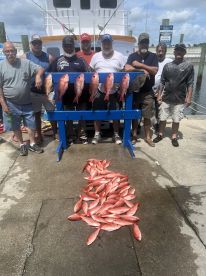Red snapper vermillion snapper