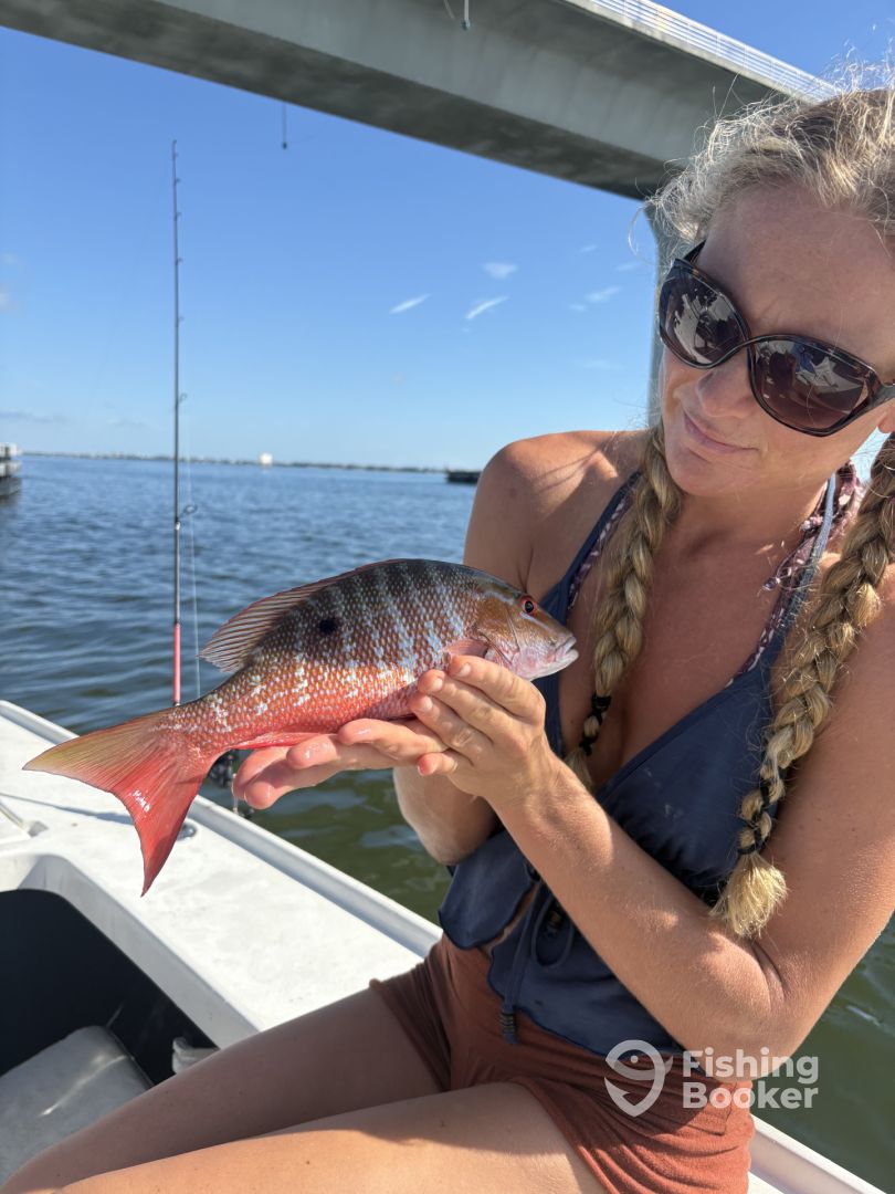 Stuart Report Photo 0