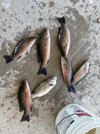 Stuart Report Photo 1