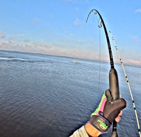 8/20/25 3 hits, landed 2 tarpon 