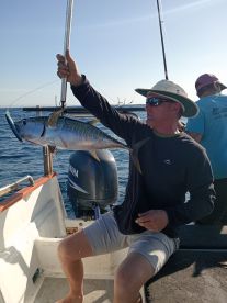 Shelly Beach Report Photo 2