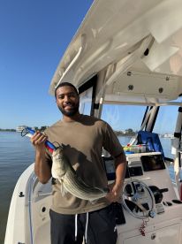 Ocean City Report Photo 1