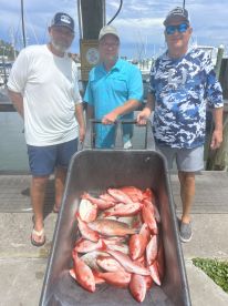 Piles of fish for all