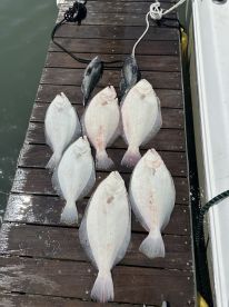 Insane bite before the blow