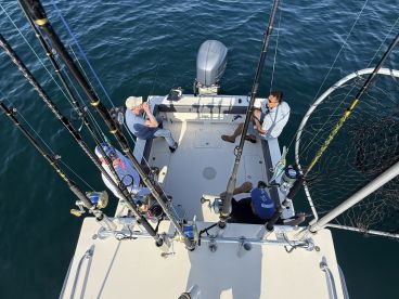 Mahi you want mahi we get 