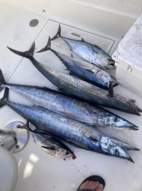 Fabulous End of summer bite!