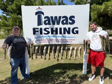 The Dog Days of Summer