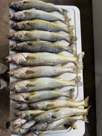 East Tawas Report Photo 3