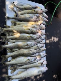 East Tawas Report Photo 4