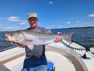 Upper Chesapeake Bay 