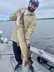 Stockholm Archipelago Report Photo 4