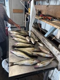 Amazing fishing and its getting better e