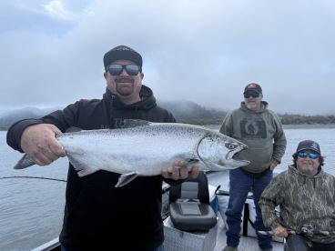 Messenger Big, shiny chrome king salmon 