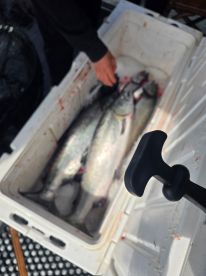 Family day every day this week. 