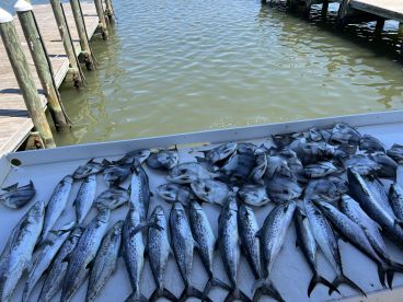 Fort Morgan Report Photo 1