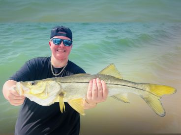 Snook action 