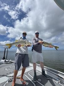 Groupers amd Snappers! 